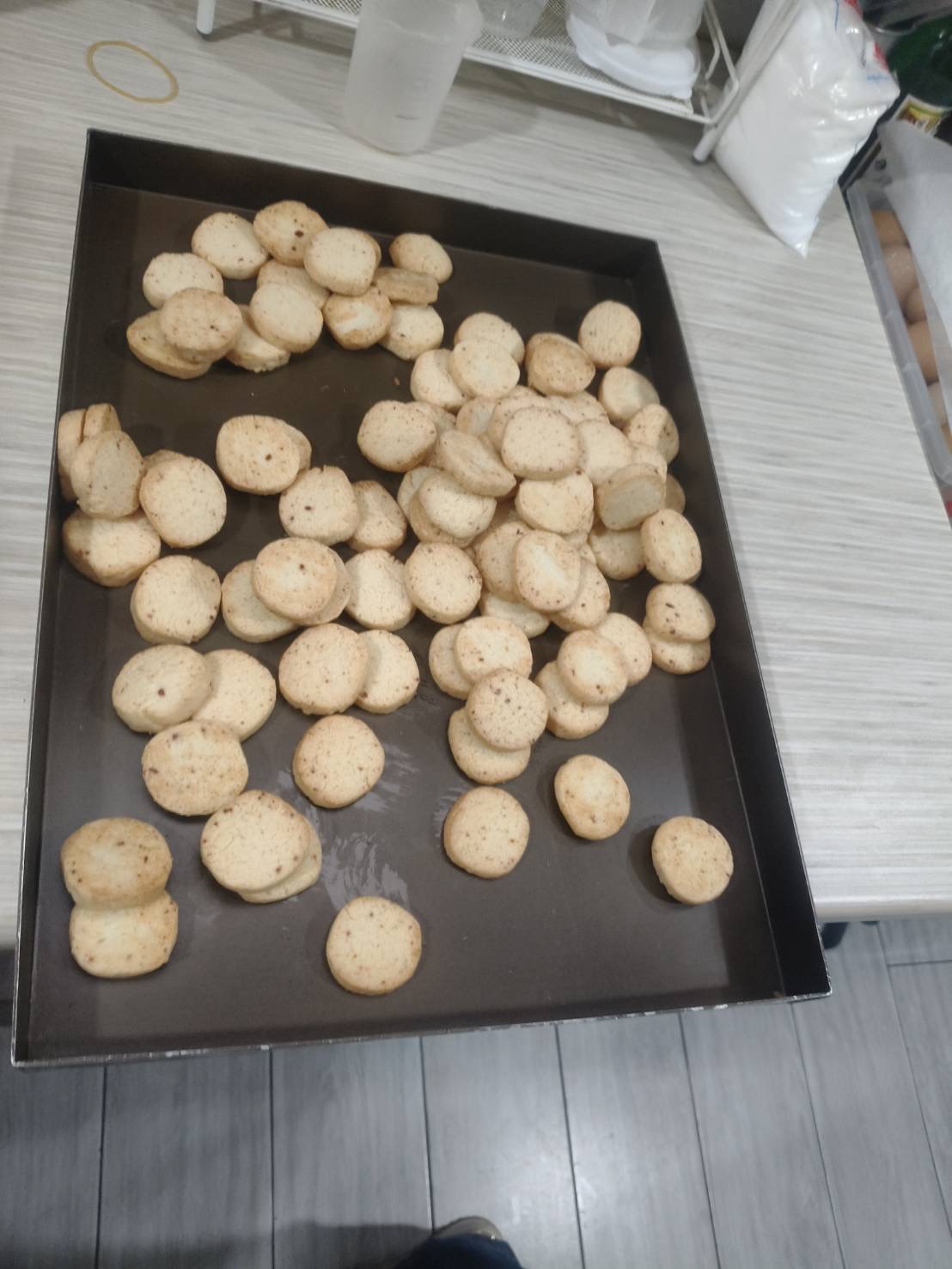 活動照片