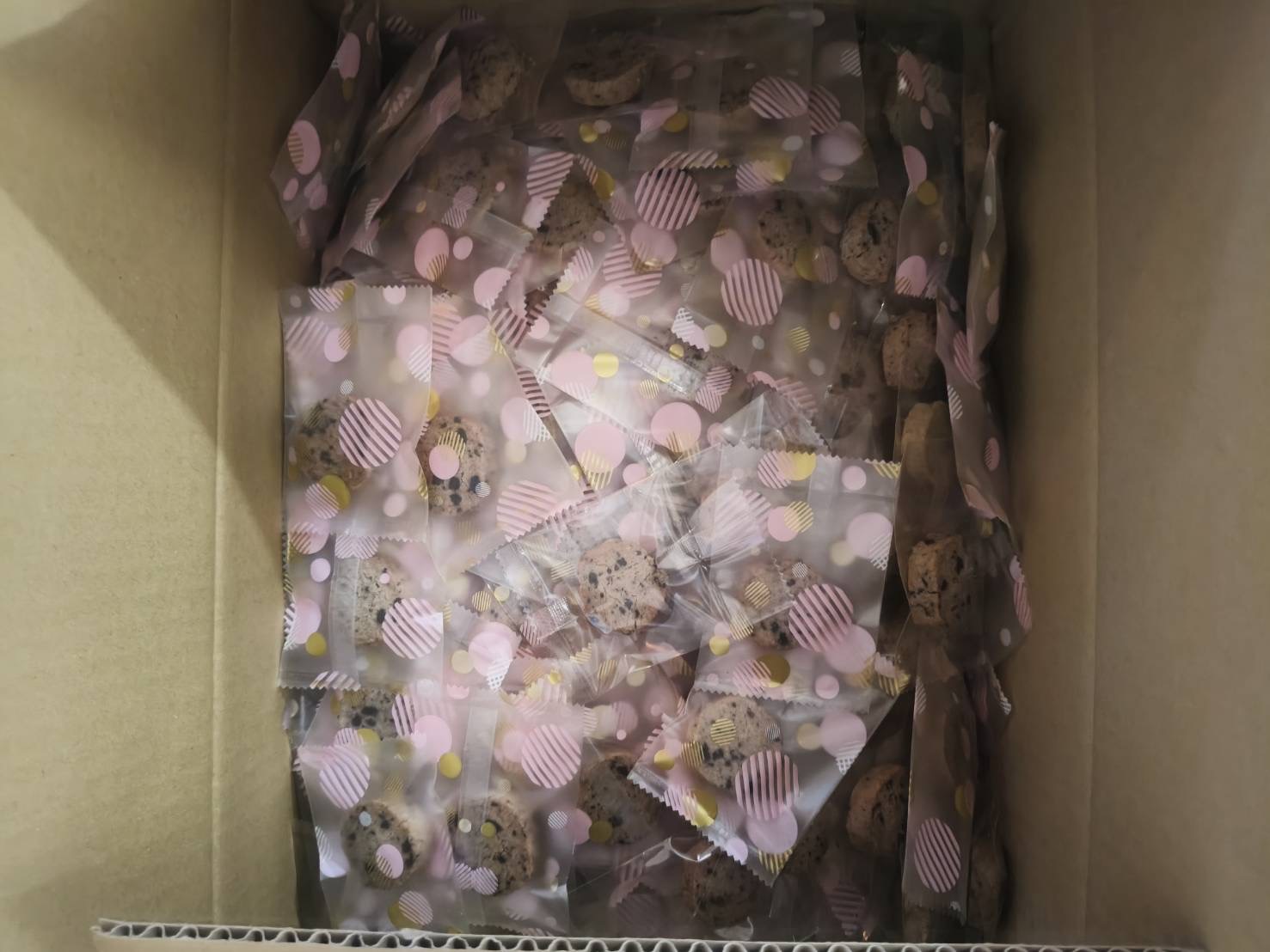 活動照片